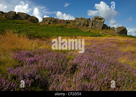 Die Kuh und Kalb, Felsen eine große Felsformation, bestehend aus einem Felsen und Felsbrocken, auch bekannt als Hangingstone, in Ilkley Quarr Stockfoto