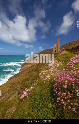 Towanroath Pumpen Maschinenhaus bei Wheal Coates, ein ehemaliger Zinn liegt mir auf der Nordküste von Cornwall. Stockfoto