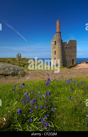 Reste der Konserve Botallack mine Gebäude im Stadtteil St Just Bergbau in der kornischen Küste. Stockfoto