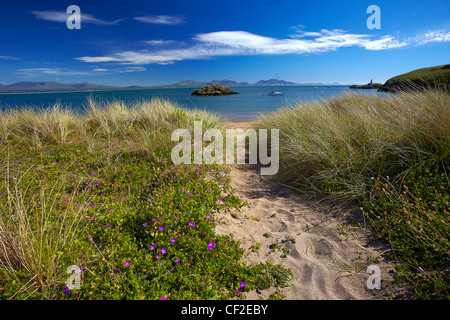 Weg zum Strand auf Llanddwyn Insel mit Bergen von Snowdonia in Ferne. Stockfoto