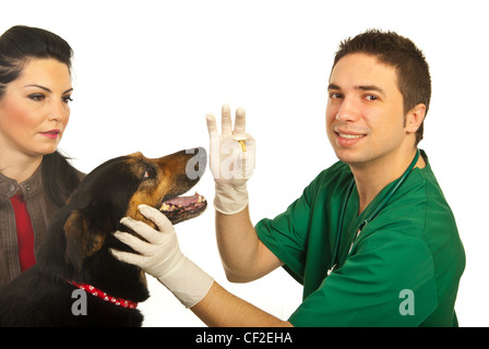 Glücklich Arzt Tierarzt Mann gebend Tablette an Hund und Hund Besitzer Frau auf der Suche isoliert auf weißem Hintergrund Stockfoto