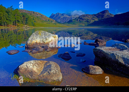 Blick über Blea Tarn mit Blick auf die Langdale Pikes. Stockfoto