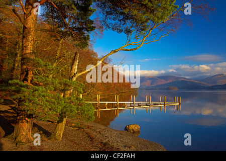 Herbstliche Ansicht von Brandelhow Jetty spiegelt sich in das Stille Wasser des Derwentwater im Lake District National Park. Stockfoto