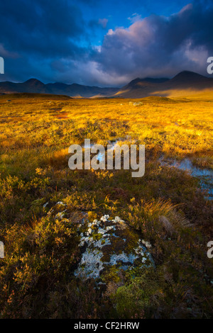 Morgensonne auf Rannoch Moor mit dem dominierenden Gipfel des schwarzen Berges in der Ferne. Stockfoto