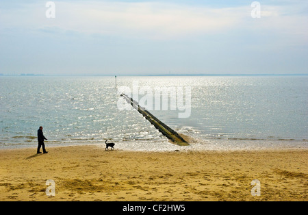 Ein Mann geht seinen Hund am Southend-on-Sea Strand. Stockfoto