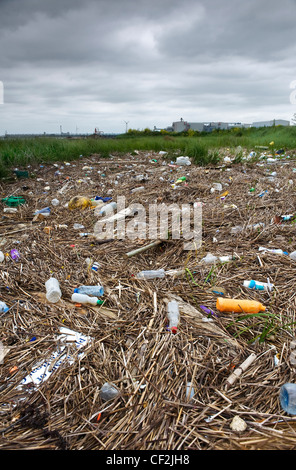 Müll auf dem Vorland der Themse an Rainham angespült. Stockfoto