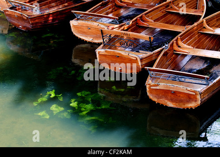 Ruderboote zu mieten auf dem Fluss Stour in Dedham. Stockfoto