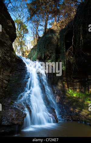 Hareshaw Linn ist ein spektakulärer Wasserfall befindet sich in einer steilen einseitige Schlucht, die durch ein bewaldetes Tal fließen weiterhin. Haresh Stockfoto