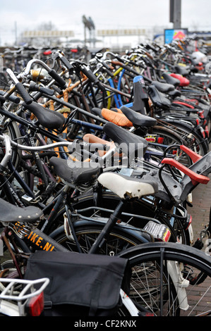 Fahrräder parken außerhalb Centraal Station in Amsterdam, Niederlande. Stockfoto