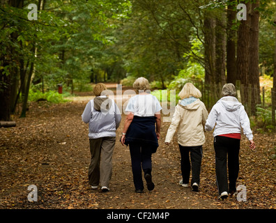 Vier Frauen in einer Linie entlang einem Pfad durch den Wald spazieren. Stockfoto