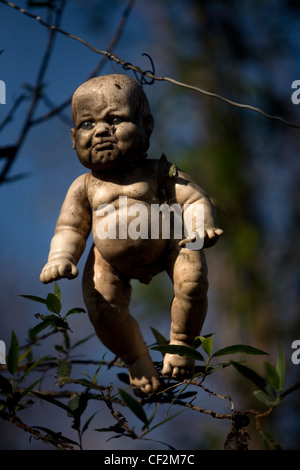 Eine Puppe hängt an einem Baum auf der Insel der Puppen in Xochimilco, südlichen Mexiko-Stadt, 17. Dezember 2011. Stockfoto
