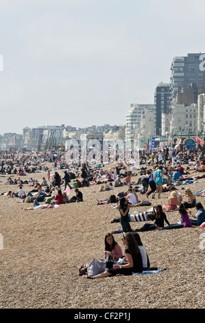 Menschen entspannen am Kiesstrand in Brighton. Stockfoto