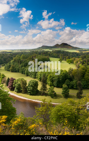 Scotts View, ein Aussichtspunkt mit Blick auf das Tal des Flusses Tweed, Scottish Borders den Ruf, einer der Lieblings- Stockfoto