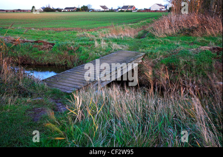 Eine Fußgängerbrücke über einen Deich auf einem öffentlichen Wanderweg auf den Norfolk Broads bei Horsey, Norfolk, England, Vereinigtes Königreich. Stockfoto