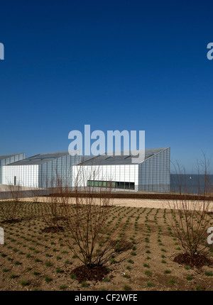 Grünfläche am Fort Hill mit Blick auf die Turner Contemporary Arts Galerie in Margate. Stockfoto