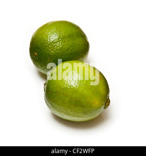 Limes isoliert auf einem weißen Studio-Hintergrund. Stockfoto