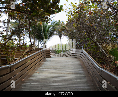 Holzsteg führt zu einem Strand Stockfoto
