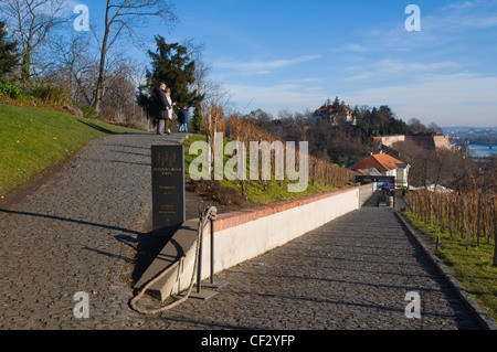 Svatovaclavska Vinice St. Wenceslas Weinberg Hradschin das Budaer Burgviertel Prag Tschechische Republik Europa Stockfoto