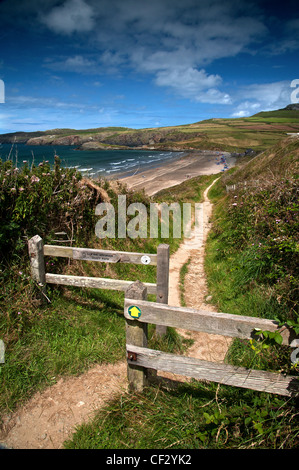 Pembrokeshire Küstenweg in Richtung Whitesands Beach in der Nähe von St Davids Stockfoto