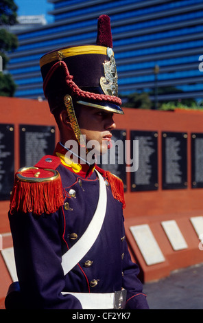 Wache. Denkmal für die Falkland Kriegshelden. Plaza San Martín. Buenos Aires. Argentinien. Stockfoto