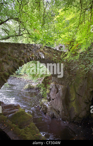 Eine Steinbrücke über den Fluss Braan in der Eremitage in der Nähe von Dunkeld. Stockfoto