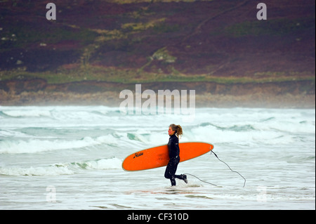 Eine Surferin laufen ins Meer mit ihrem Surfbrett Sennen Cove. Stockfoto