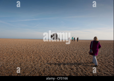 Maggi Hamblings "Jakobsmuschel", eine Skulptur, Komponisten Benjamin Britten in Aldeburgh, Suffolk, England zu feiern. Feb 2012. Stockfoto