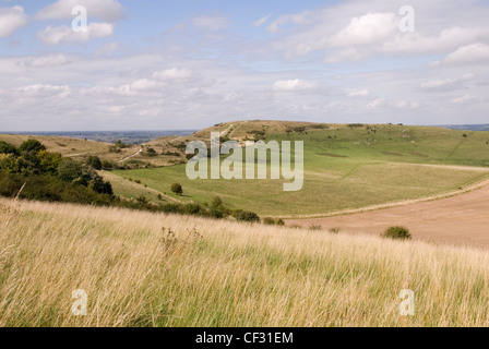 Chiltern Hills - Blick über Kreide Grünland, Ridgeway Path, Ivinghoe Beacon klettern. Stockfoto