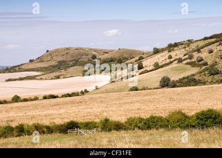 Chiltern Hills - Ivinghoe Beacon - C8 BC alten oberen Wallburg - Anfang und/oder Ende der Langdistanz Ridgeway Path Stockfoto