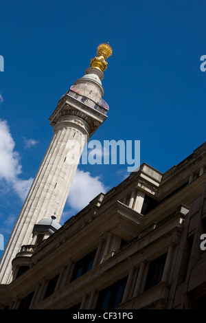 Das neu restaurierte Denkmal in der City of London. Das Denkmal wurde errichtet zwischen 1671 und 1677 zum Gedenken an den Großbrand von Stockfoto