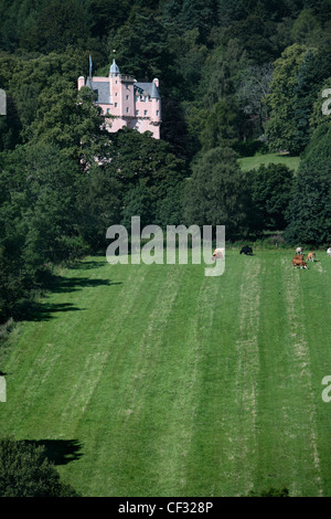 Rinder grasen auf den Nachlass von Craigievar Castle, ein rosa Harled Burg im Jahre 1626 in den Ausläufern der Grampian Bohranlage Stockfoto