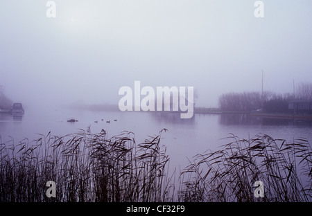 Aussicht auf Fluss an kalten, nebligen Morgen mit Schilf Enten Chalets und Boote vertäut Stockfoto