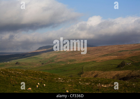 Cloud-streaming über den Gipfel des Pen-y-Gent Ribblesdale North Yorkshire England Stockfoto