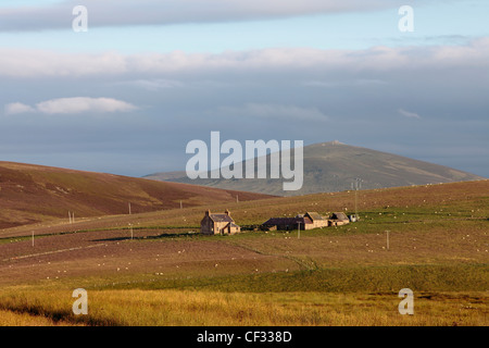 Landwirtschaftliche Gebäude auf einem Croft in der Cabrach. Stockfoto