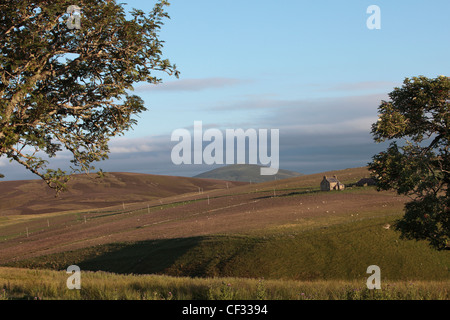 Landwirtschaftliche Gebäude auf einem Croft in der Cabrach. Stockfoto