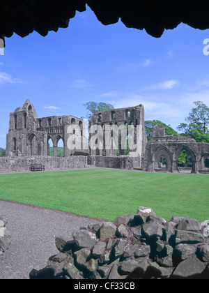 Die Ruinen von dundrennan Zisterzienserkloster in der Nähe von Kirkcudbright in Dumfries und Galloway Schottland Großbritannien Stockfoto