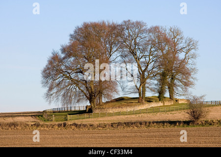 Windmühle abschwenken Long Barrow (Rodmarton Long Barrow), einem großen neolithischen Dolmen in der Nähe von Rodmarton. Stockfoto