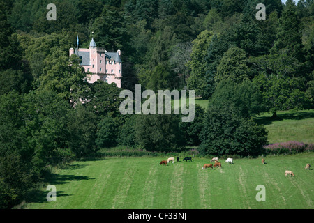 Rinder grasen auf den Nachlass von Craigievar Castle, ein rosa Harled Burg im Jahre 1626 in den Ausläufern der Grampian Bohranlage Stockfoto