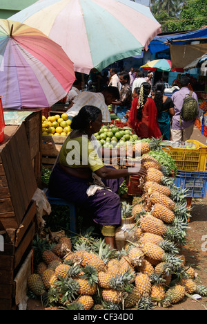 Ananas in Eile Absatzmarkt Straße Straßen durch einen Verkauf Frauen. Native Verkäuferinnen verwenden Regenschirm für immer entfliehen harte Sonne Stockfoto