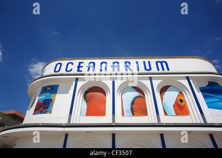 Ozeanarium, das Bournemouth Aquarium, eine Unterwasserwelt mit mehr als 30 natürlich Themen anzeigen. Stockfoto