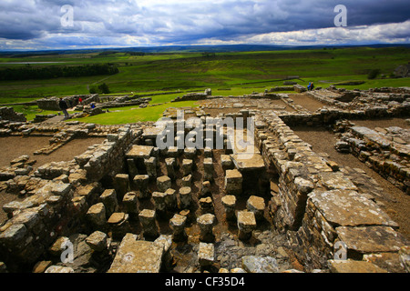 Die Überreste des Hauses des Kommandanten (Praetorium) römisches Kastell Housesteads, die vollständigste römisches Kastell in Großbritannien auf Hadrian Stockfoto