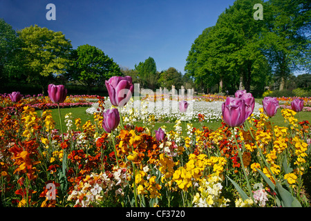 Bunte Blumen wachsen in St. Nicholas Park in Warwick. Stockfoto