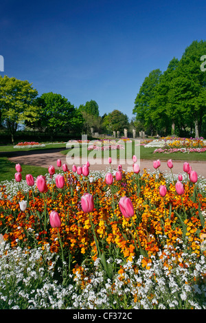 Bunte Blumen wachsen in St. Nicholas Park in Warwick. Stockfoto