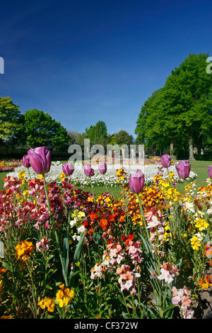 Bunte Blumen wachsen in St. Nicholas Park in Warwick. Stockfoto