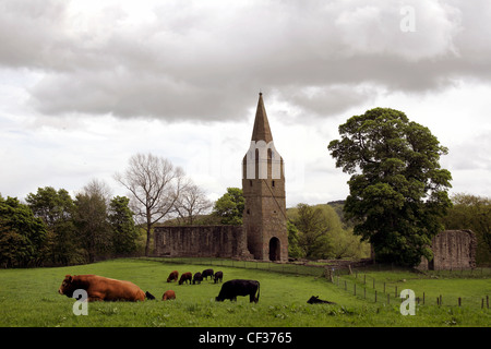 Ein Blick auf den Turm und die Ruinen der Restenneth Priory. Die alten Priorat-Kirche in Restenneth von Forfar, wird angenommen Stockfoto