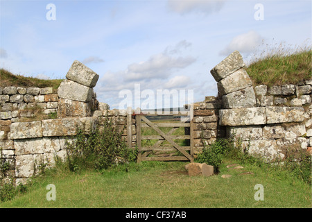 Gewölbte Tor am Milecastle 37, Hadrianswall, Northumberland, England, Großbritannien, Deutschland, UK, Europa Stockfoto