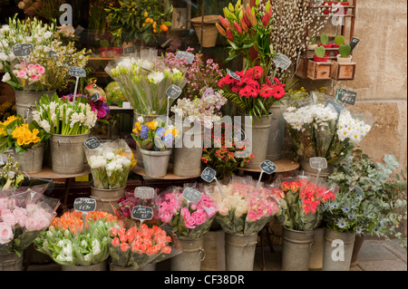 Frisch sind Schnittblumen auf dem Display außerhalb ein Blumengeschäft in Zentral-Paris, Frankreich. Stockfoto