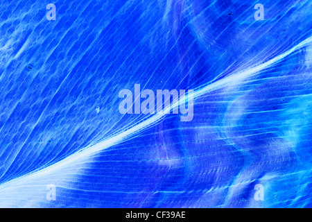 Zusammenfassung Hintergrund mit abstrakten weichen Linien Stockfoto