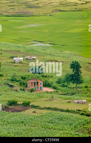 Typische madagassische Dorf in der Nähe von Antsirabe, Hochland von Madagaskar Stockfoto