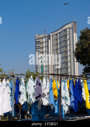 Wäscheständer bei Dhobi Ghat in Mumbai, Maharashtra, India Stockfoto